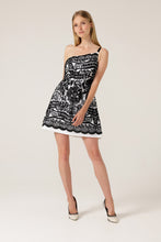 Load image into Gallery viewer, Sacha Drake Chickadee Mini Dress
