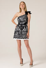 Load image into Gallery viewer, Sacha Drake Chickadee Mini Dress
